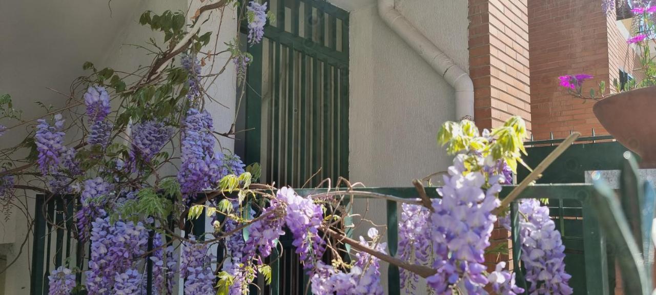 Apartamento Casadei24 Guidonia Exterior foto